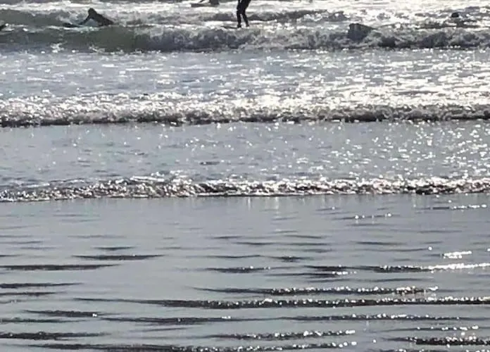 Feriehus Conree Castlemaine