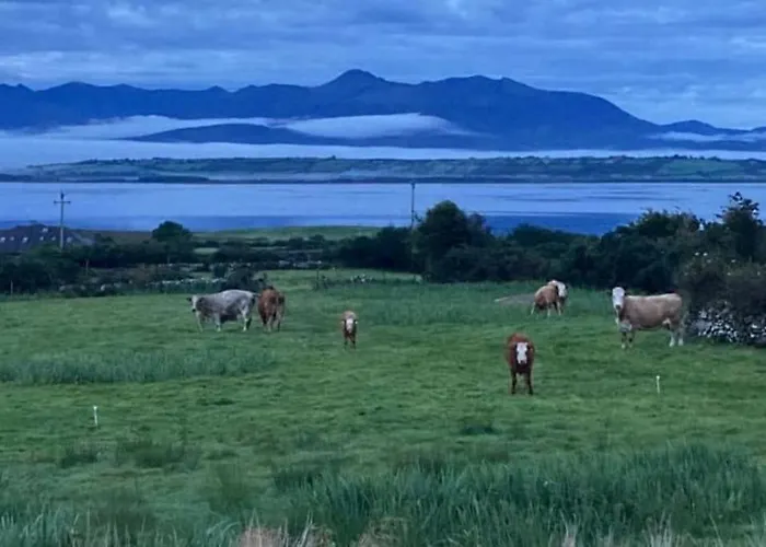 Conree * Castlemaine